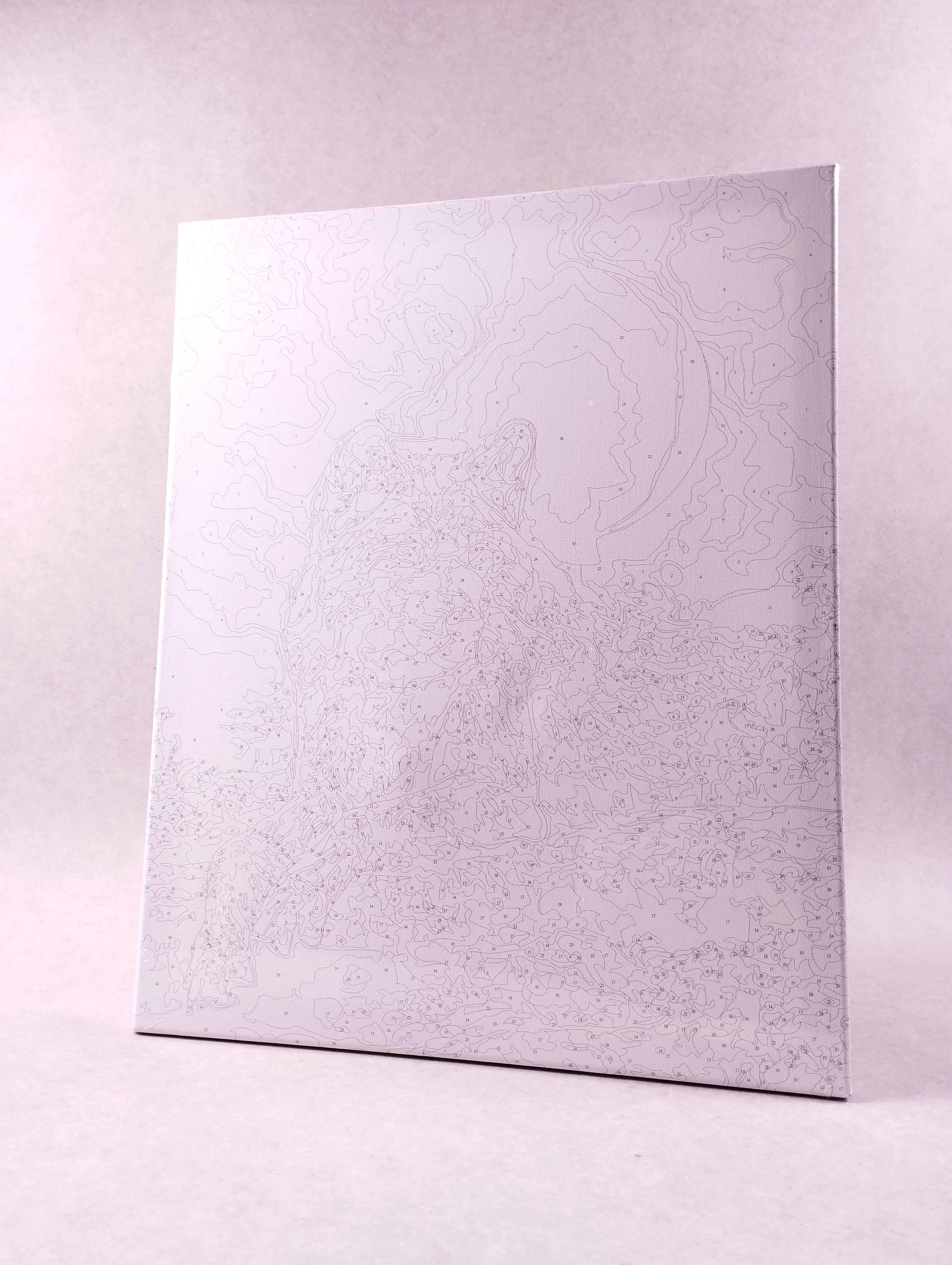 Kit peinture par numéros loup sous la lune 40×50 cm